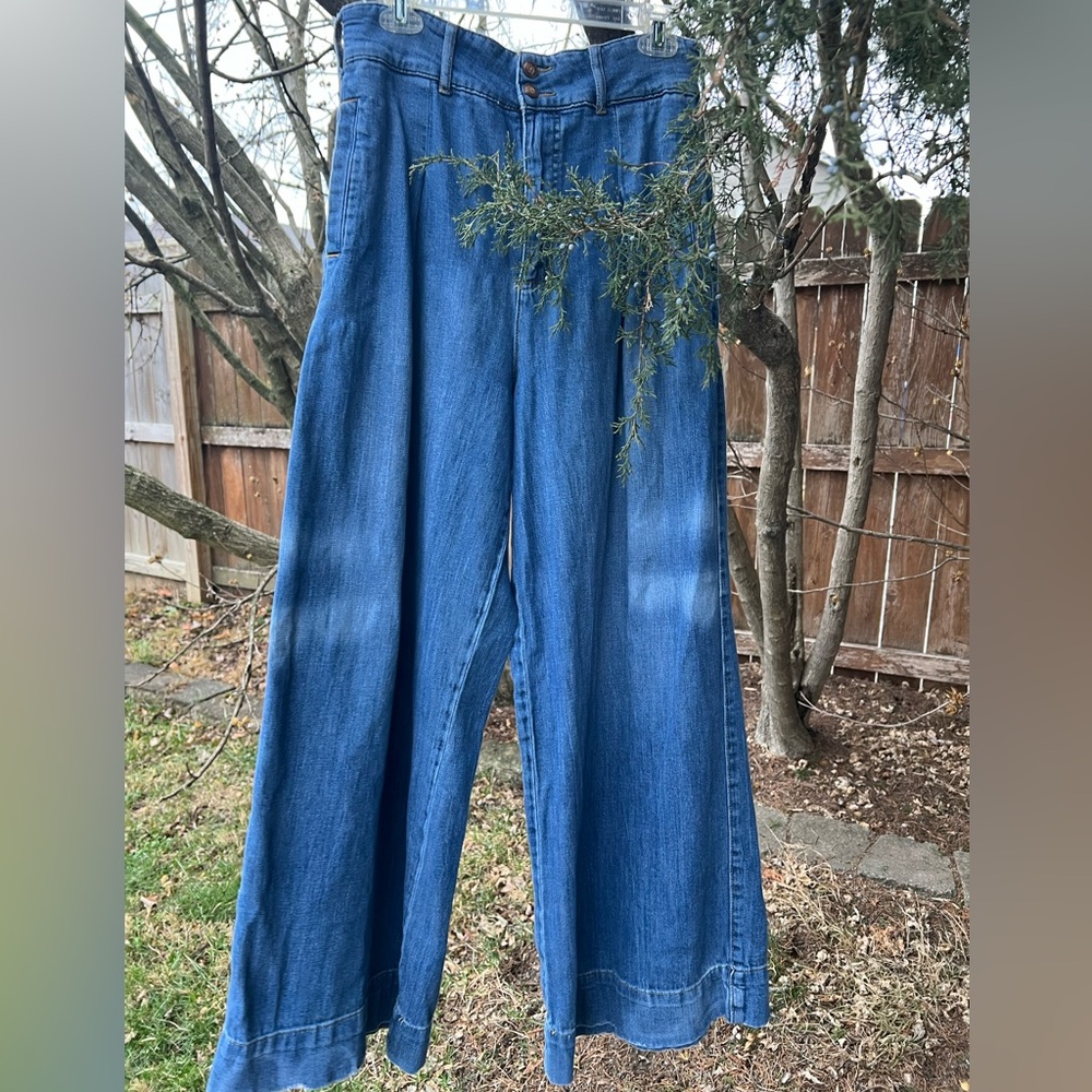 Pilcro and Letterpress Anthropologie Baggy Wide Leg Pleated Jeans 30 COTTON - Picture 3 of 13